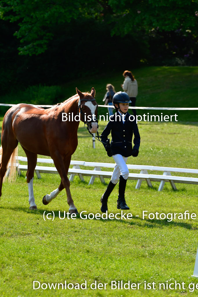 Goldene Schärpe Ponys in Hohen Luckow 1-4.6.23 | 04062023 -  Vormustern _298 