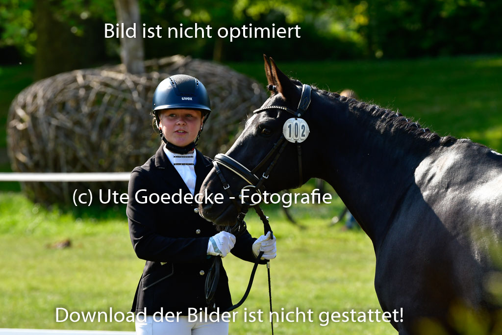 Goldene Schärpe Ponys in Hohen Luckow 1-4.6.23 | 04062023 -  Vormustern _301 