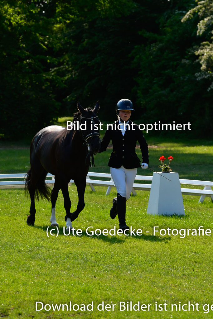 Goldene Schärpe Ponys in Hohen Luckow 1-4.6.23 | 04062023 -  Vormustern _302 