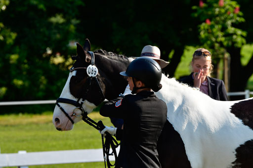 Goldene Schärpe Ponys in Hohen Luckow 1-4.6.23 | 04062023 -  Vormustern _015 