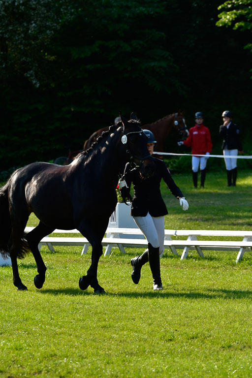 Goldene Schärpe Ponys in Hohen Luckow 1-4.6.23 | 04062023 -  Vormustern _016 