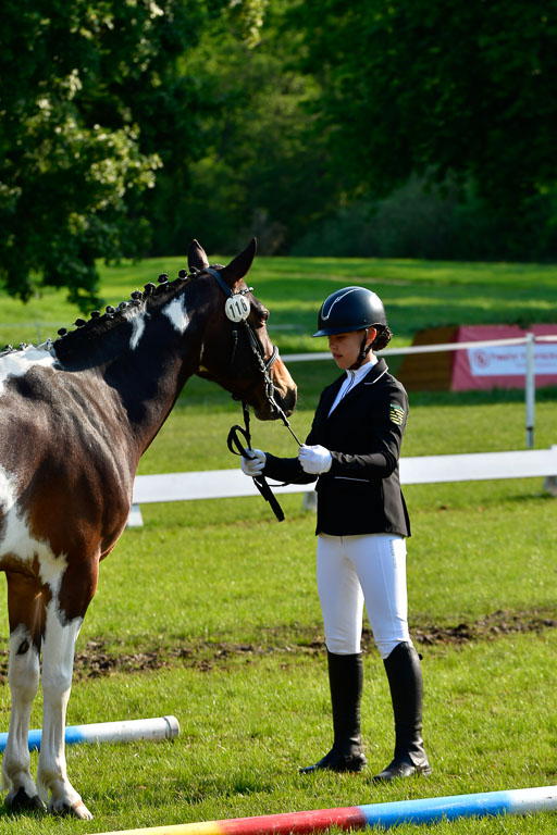 Goldene Schärpe Ponys in Hohen Luckow 1-4.6.23 | 04062023 -  Vormustern _017 