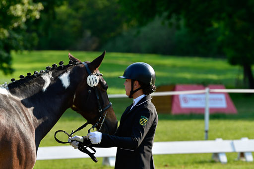 Goldene Schärpe Ponys in Hohen Luckow 1-4.6.23 | 04062023 -  Vormustern _018 