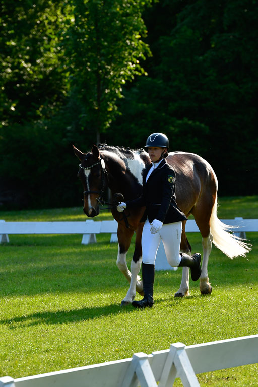 Goldene Schärpe Ponys in Hohen Luckow 1-4.6.23 | 04062023 -  Vormustern _022 