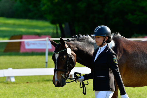 Goldene Schärpe Ponys in Hohen Luckow 1-4.6.23 | 04062023 -  Vormustern _023 