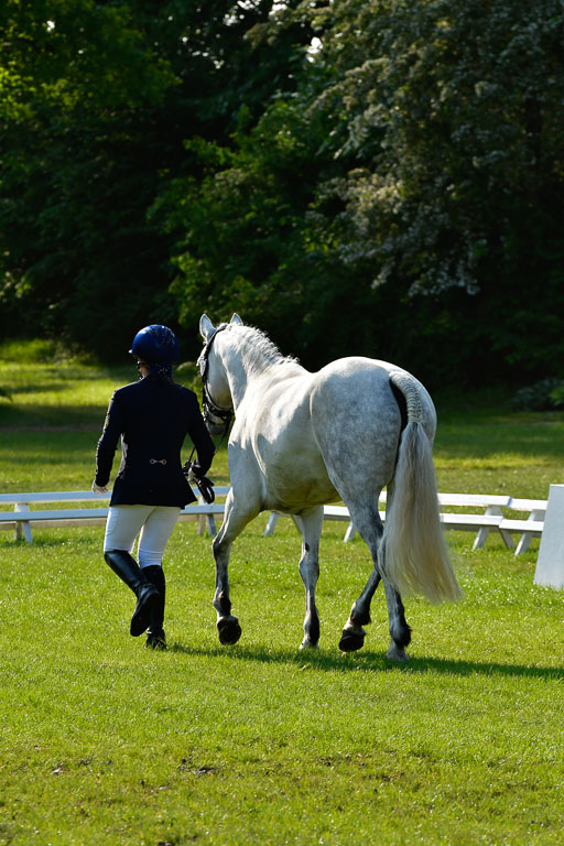 Goldene Schärpe Ponys in Hohen Luckow 1-4.6.23 | 04062023 -  Vormustern _024 