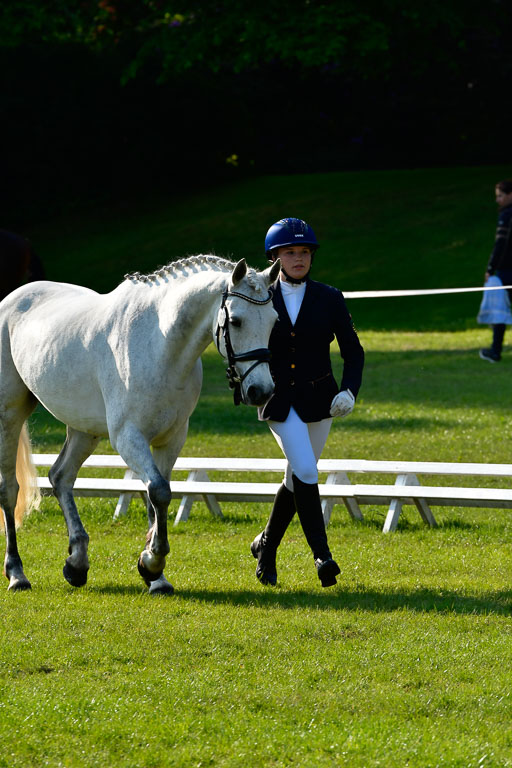 Goldene Schärpe Ponys in Hohen Luckow 1-4.6.23 | 04062023 -  Vormustern _025 