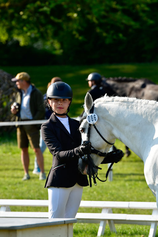 Goldene Schärpe Ponys in Hohen Luckow 1-4.6.23 | 04062023 -  Vormustern _029 