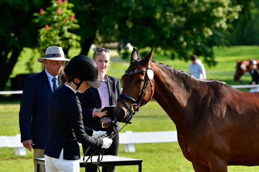 Goldene Schärpe Ponys in Hohen Luckow 1-4.6.23 | 04062023 -  Vormustern _031 