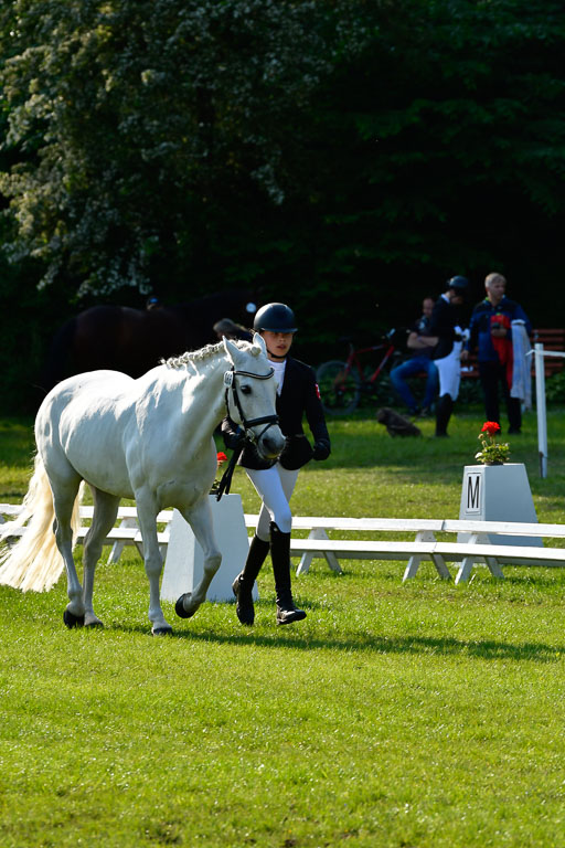Goldene Schärpe Ponys in Hohen Luckow 1-4.6.23 | 04062023 -  Vormustern _032 