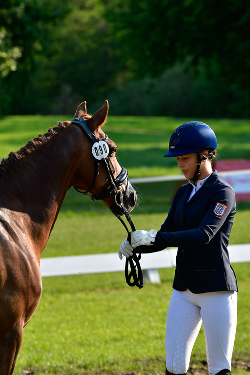 Goldene Schärpe Ponys in Hohen Luckow 1-4.6.23 | 04062023 -  Vormustern _034 