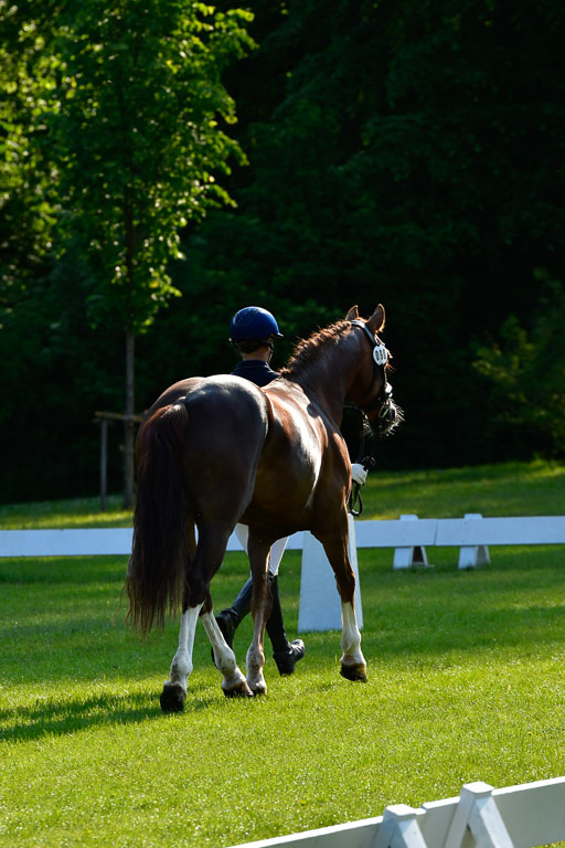 Goldene Schärpe Ponys in Hohen Luckow 1-4.6.23 | 04062023 -  Vormustern _036 