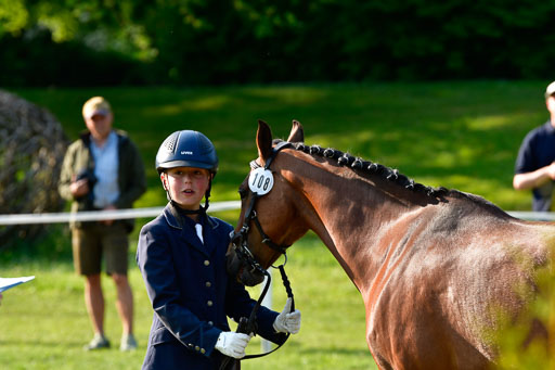 Goldene Schärpe Ponys in Hohen Luckow 1-4.6.23 | 04062023 -  Vormustern _037 
