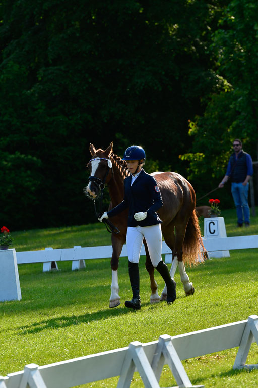Goldene Schärpe Ponys in Hohen Luckow 1-4.6.23 | 04062023 -  Vormustern _038 