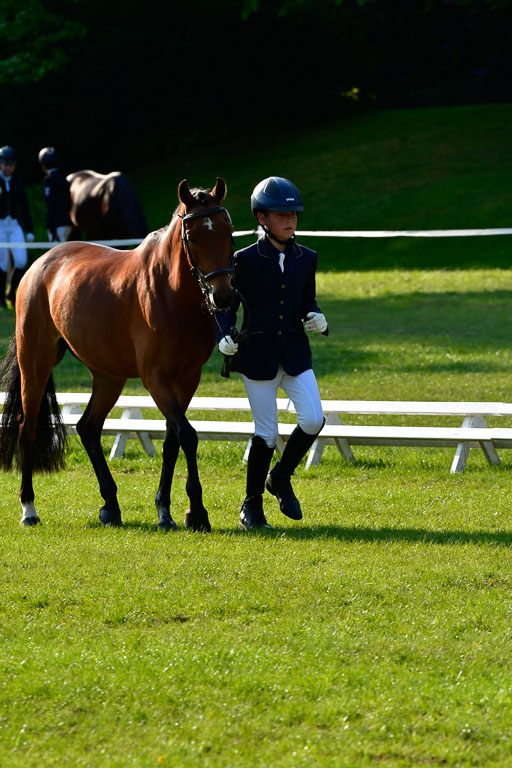 Goldene Schärpe Ponys in Hohen Luckow 1-4.6.23 | 04062023 -  Vormustern _039 