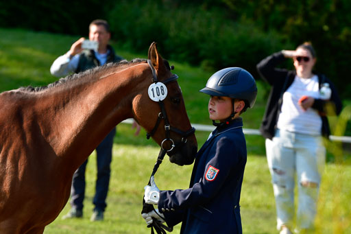 Goldene Schärpe Ponys in Hohen Luckow 1-4.6.23 | 04062023 -  Vormustern _040 