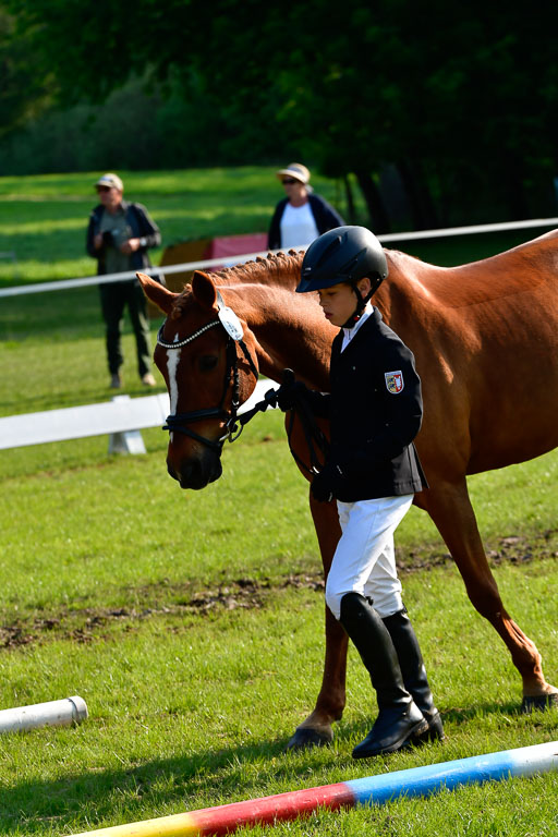 Goldene Schärpe Ponys in Hohen Luckow 1-4.6.23 | 04062023 -  Vormustern _042 