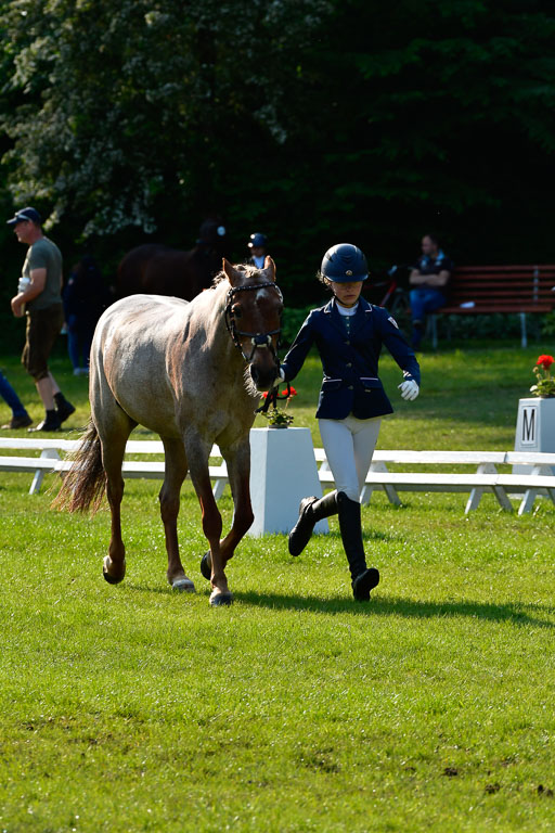 Goldene Schärpe Ponys in Hohen Luckow 1-4.6.23 | 04062023 -  Vormustern _043 