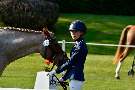 Goldene Schärpe Ponys in Hohen Luckow 1-4.6.23 | 04062023 -  Vormustern _044 