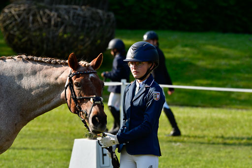 Goldene Schärpe Ponys in Hohen Luckow 1-4.6.23 | 04062023 -  Vormustern _045 