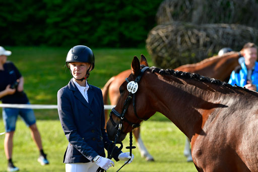 Goldene Schärpe Ponys in Hohen Luckow 1-4.6.23 | 04062023 -  Vormustern _046 