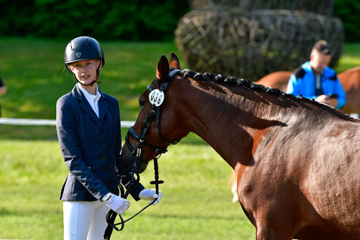 Goldene Schärpe Ponys in Hohen Luckow 1-4.6.23 | 04062023 -  Vormustern _047 