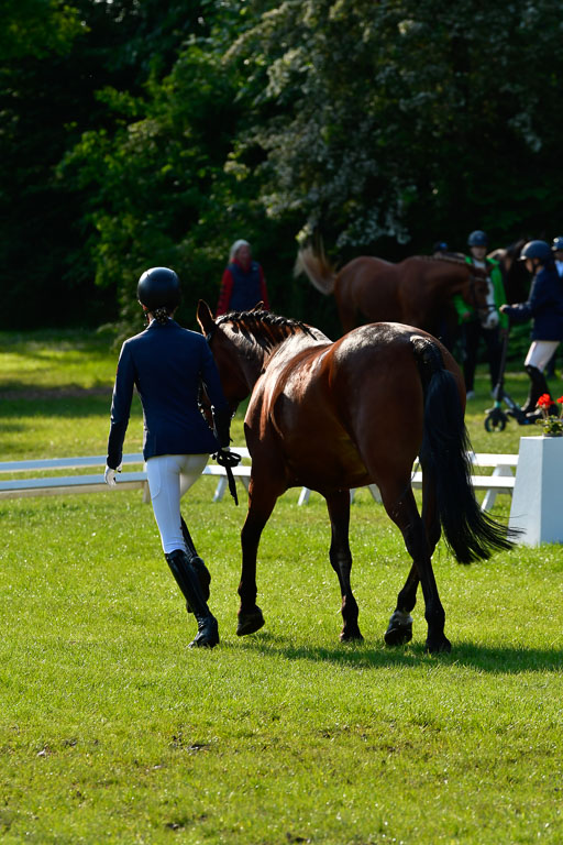 Goldene Schärpe Ponys in Hohen Luckow 1-4.6.23 | 04062023 -  Vormustern _048 