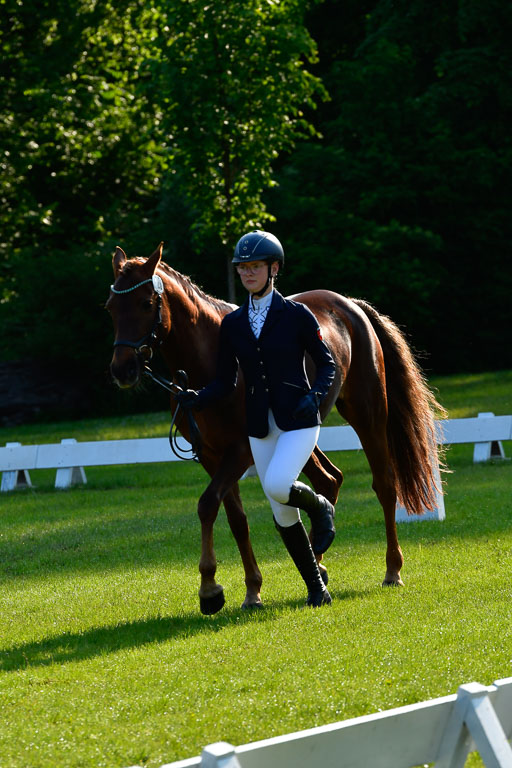 Goldene Schärpe Ponys in Hohen Luckow 1-4.6.23 | 04062023 -  Vormustern _049 
