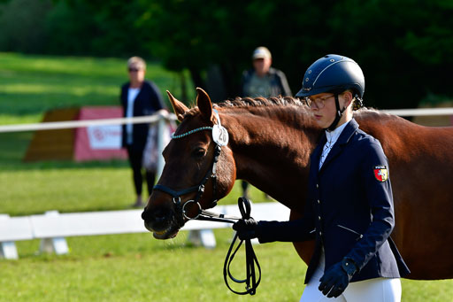 Goldene Schärpe Ponys in Hohen Luckow 1-4.6.23 | 04062023 -  Vormustern _051 
