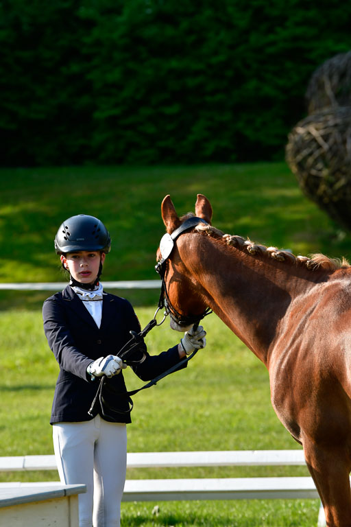 Goldene Schärpe Ponys in Hohen Luckow 1-4.6.23 | 04062023 -  Vormustern _053 