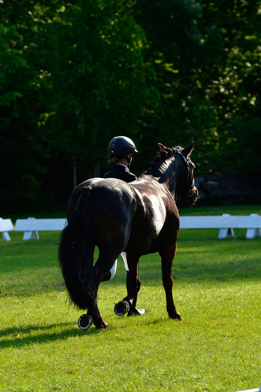 Goldene Schärpe Ponys in Hohen Luckow 1-4.6.23 | 04062023 -  Vormustern _055 