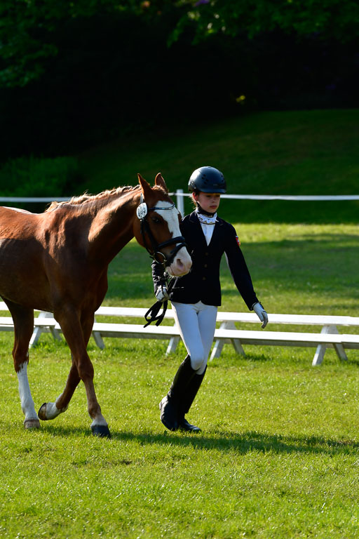 Goldene Schärpe Ponys in Hohen Luckow 1-4.6.23 | 04062023 -  Vormustern _056 