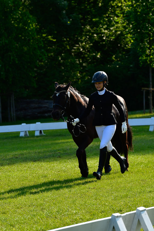 Goldene Schärpe Ponys in Hohen Luckow 1-4.6.23 | 04062023 -  Vormustern _058 