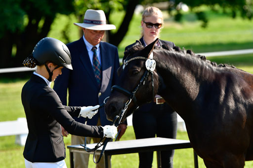 Goldene Schärpe Ponys in Hohen Luckow 1-4.6.23 | 04062023 -  Vormustern _059 
