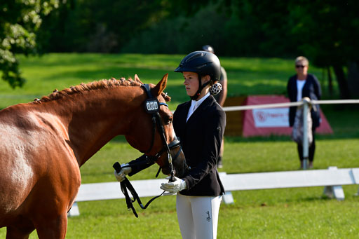 Goldene Schärpe Ponys in Hohen Luckow 1-4.6.23 | 04062023 -  Vormustern _060 