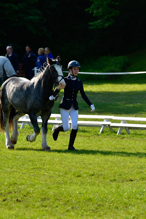 Goldene Schärpe Ponys in Hohen Luckow 1-4.6.23 | 04062023 -  Vormustern _063 