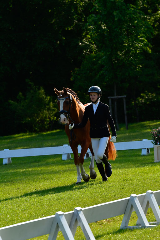 Goldene Schärpe Ponys in Hohen Luckow 1-4.6.23 | 04062023 -  Vormustern _065 