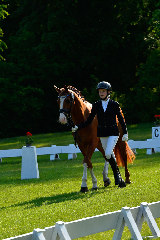 Goldene Schärpe Ponys in Hohen Luckow 1-4.6.23 | 04062023 -  Vormustern _066 