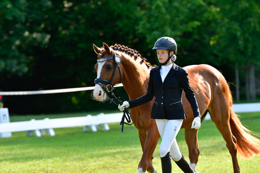 Goldene Schärpe Ponys in Hohen Luckow 1-4.6.23 | 04062023 -  Vormustern _067 