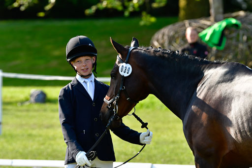 Goldene Schärpe Ponys in Hohen Luckow 1-4.6.23 | 04062023 -  Vormustern _070 