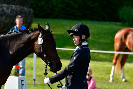 Goldene Schärpe Ponys in Hohen Luckow 1-4.6.23 | 04062023 -  Vormustern _074 