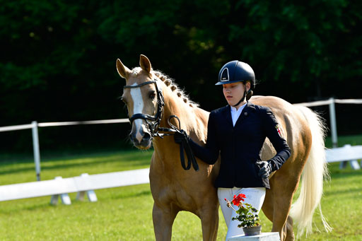 Goldene Schärpe Ponys in Hohen Luckow 1-4.6.23 | 04062023 -  Vormustern _075 