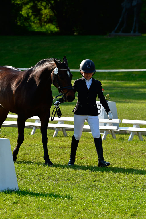 Goldene Schärpe Ponys in Hohen Luckow 1-4.6.23 | 04062023 -  Vormustern _079 