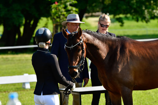 Goldene Schärpe Ponys in Hohen Luckow 1-4.6.23 | 04062023 -  Vormustern _081 