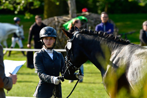 Goldene Schärpe Ponys in Hohen Luckow 1-4.6.23 | 04062023 -  Vormustern _082 