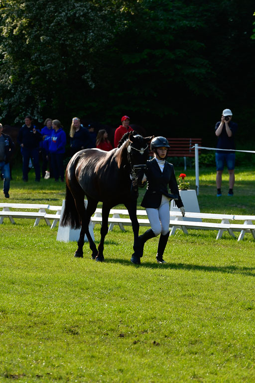 Goldene Schärpe Ponys in Hohen Luckow 1-4.6.23 | 04062023 -  Vormustern _084 