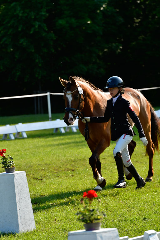 Goldene Schärpe Ponys in Hohen Luckow 1-4.6.23 | 04062023 -  Vormustern _086 