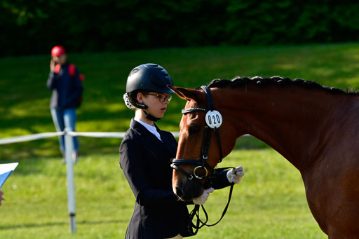 Goldene Schärpe Ponys in Hohen Luckow 1-4.6.23 | 04062023 -  Vormustern _088 