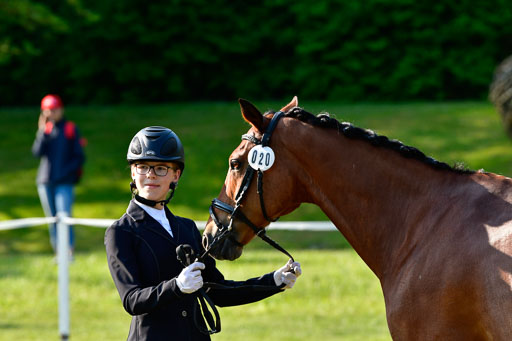 Goldene Schärpe Ponys in Hohen Luckow 1-4.6.23 | 04062023 -  Vormustern _089 