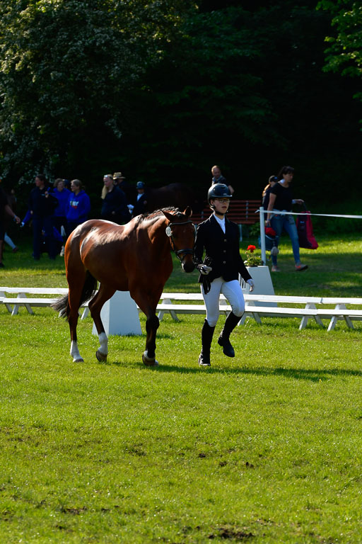 Goldene Schärpe Ponys in Hohen Luckow 1-4.6.23 | 04062023 -  Vormustern _090 